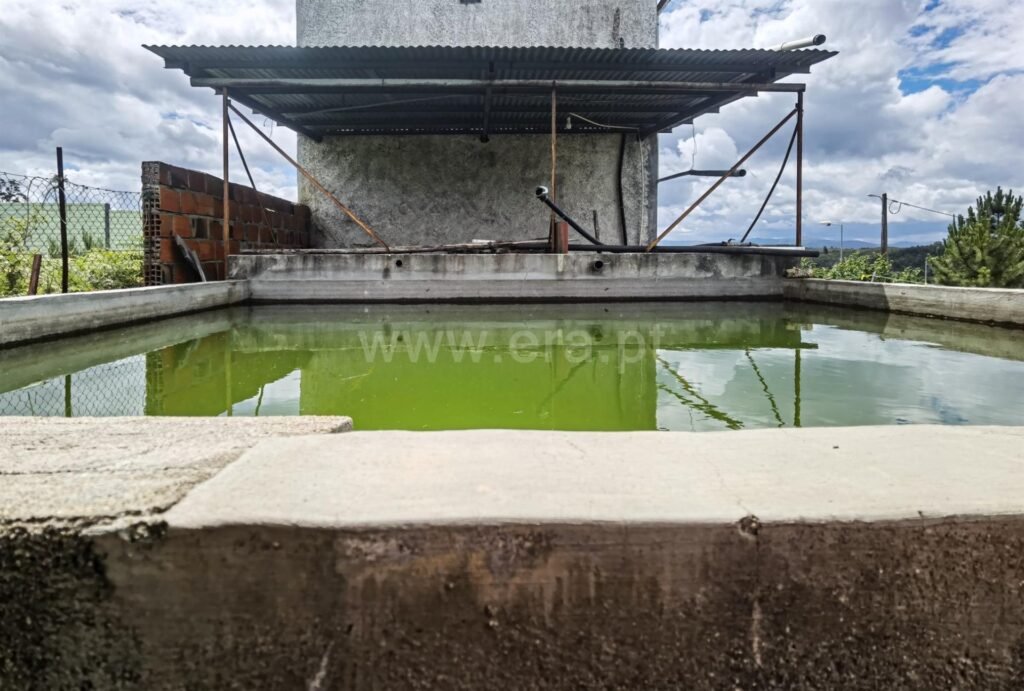 quinta tabua candosa 14 1 1238780 15642510 2 1 fv4 ffkpv3pbzzhqgap4ko58gy2euemurnxud4szt5veb8h4zppqcw== 