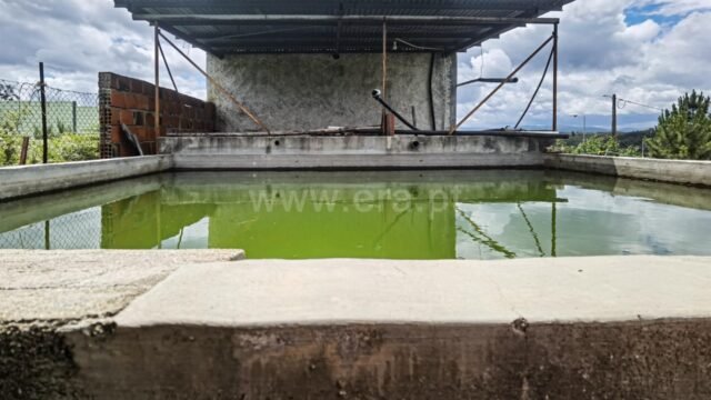 quinta tabua candosa 14 1 1238780 15642510 2 1 fv4 ffkpv3pbzzhqgap4ko58gy2euemurnxud4szt5veb8h4zppqcw== 